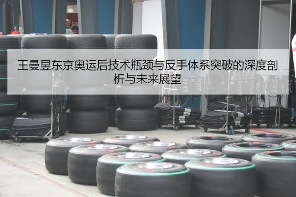 wang-man-yu-dong-jing-ao-yun-hou-ji-shu-ping-jing-yu-fan-shou-ti-xi-tu-po-de-shen-du-pou-xi-yu-wei-lai-zhan-wang-3-603.jpg